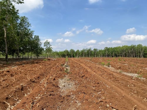 🏦Land for Urgent sale (Negotiable), ABA Loan Available