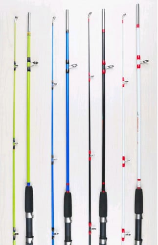 ដងពីរកំណាត់