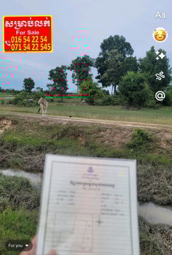 ដីស្រែ លក់ធូរៗ