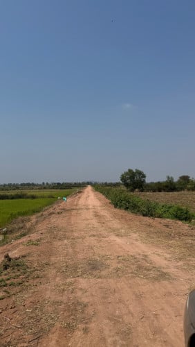 ដីលក់បន្ទាន់