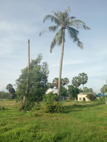 ដីលក់/Land for sale.