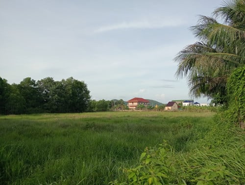 ដីលក់/Land for sale