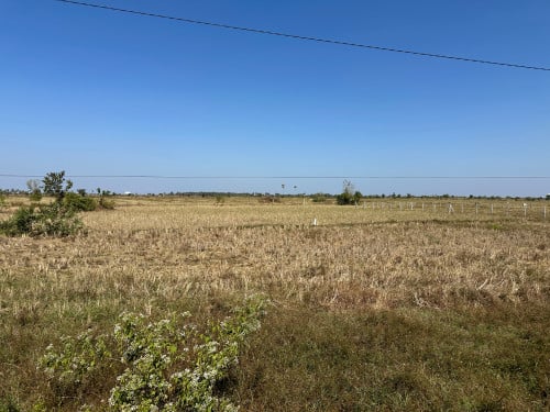 ដីលក់បន្ទាន់ធានាតម្លៃក្រោមទីផ្សារ