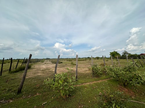 ដីលក់បន្ទាន់