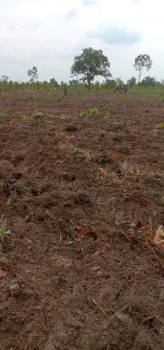 ដីសម្រាប់កសិកម្ម