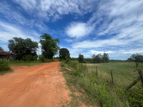 ដីកសិកម្មលក់ កែ្បររោងចក្រកែច្នៃផ្លែឈើ