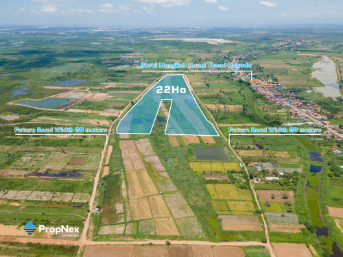 Cheap Cheap Cheap: 22 HA Land for Sale in Muk Kampul, Kandal – Only $15/sqm! 🔥