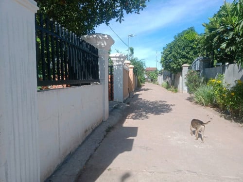 ដីលក់នៅតាឯក