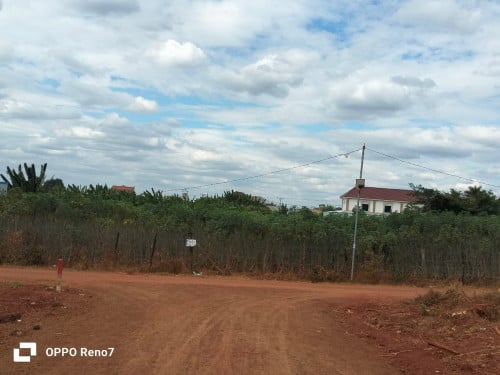 ដីលក់​ 7 ប្លង់