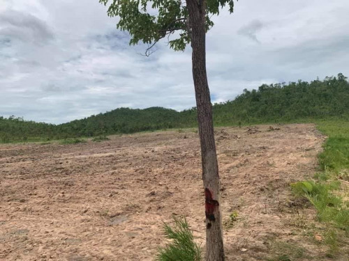 ដីលក់7ហិចតា1/4200$ នៅស្រុកក្រគរ ខេត្តពោសាត់ផ្លូវឡានចេញចូលបាន@0977672775