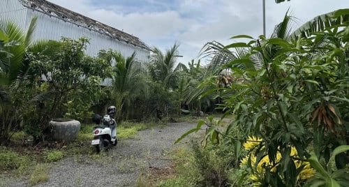 ដីលក់តម្លៃក្រោមទីផ្សារខ្លាំង