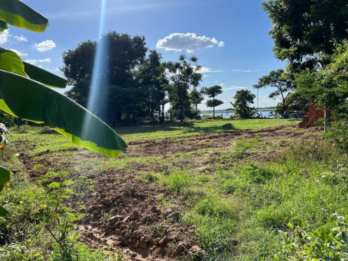 ដីសម្រាប់លក់តម្លៃល្អ ជាប់ទន្លេមេគង្គ ស្រុកខ្សាច់កណ្ដាល​ ខេត្តកណ្ដាល