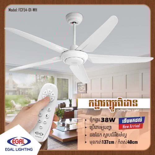 កង្ហារពិដាន សំឡេងស្ងាត់ល្អ ការរចនាដ៏ប្រណិត Stylish, Efficient, and Modern Ceiling Fans