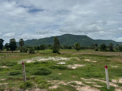 ដីជាប់ថ្នល់ជាតិ៤១