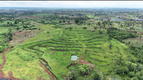 ដីចំការលក់​ បូស្រា​ (​មណ្ឌលគិរី​)