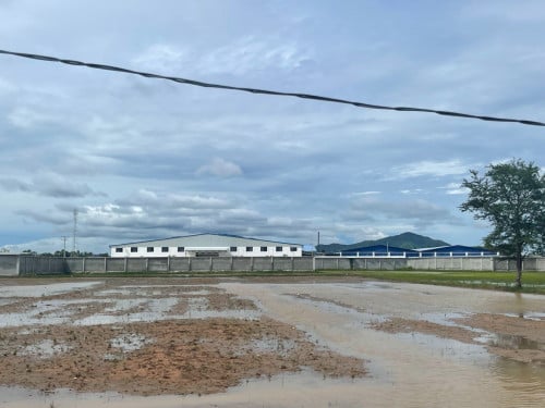 ដីស្រែ ជាប់ផ្លូវរទេះ​