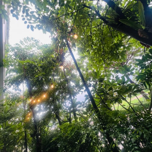 ការិល័យលក់ office for sale