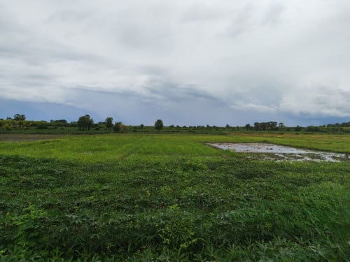 🏦Land for Urgent sale (Negotiable), ABA Loan Available