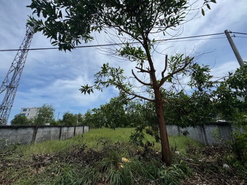 ដីស្អាតនៅជិតឆ្នេរអូត្រេះ កំពង់សោម