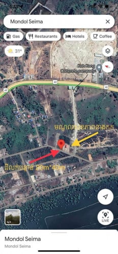 ម្ចាស់ផ្ទាល់ លក់ក្រោមទីផ្សារ- ទំហំដី: 20m x 42m (ប្លង់រឹង)