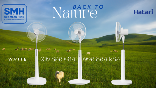 កង្ហារហ៊ាតារីបញ្ឈរ Hatari HD-P16M1 Stand Fan _ 16"