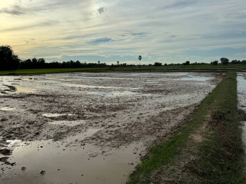 🏠Land for Urgent sale (Negotiable), ABA Loan Available