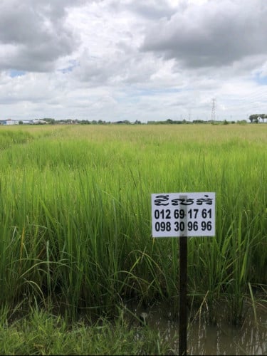 ដីស្រែក្រុងសួង