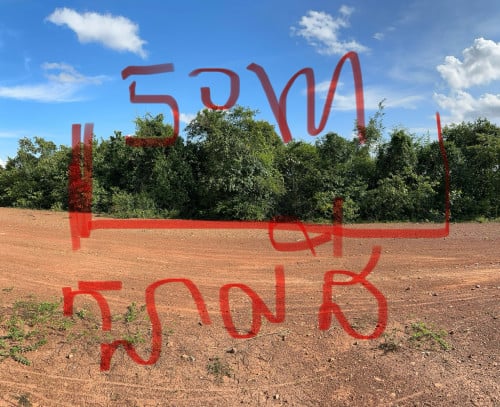 លក់ដីព្រៃ ប្លង់រឹង។ ទាក់ទងសួរនាំបានណាបងៗ ❤️