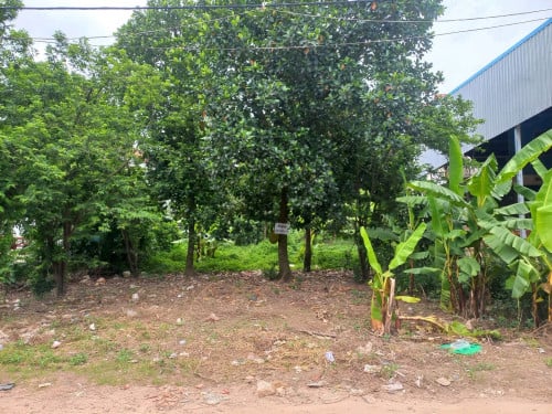 🔊📣ដីលក់ក្បាល១២ម. បណ្តោយប្រវែង១០០ម.