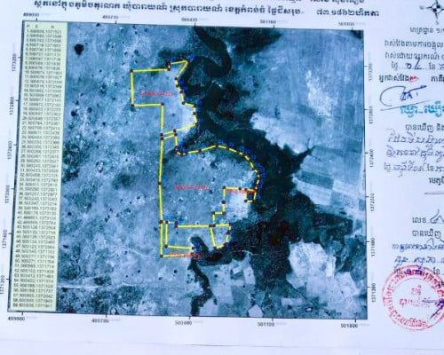 ដីស្រែទំហំ 115ហិចតា ប្លង់រឹង លក់តែ 6000$