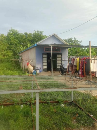 ដីនិងផ្ទះសម្រាប់លក់