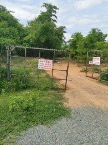 ដីចំការ ឫស្សីទំពាំងសំរាប់លក់(កំពង់ស្ពឺ)