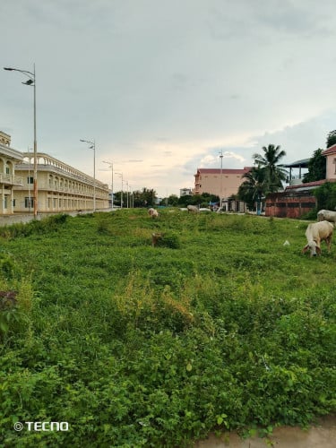 ដីឡូត៍ លក់តម្លៃក្រោមទីផ្សារក្នុងក្រុងបាត់ដំបង