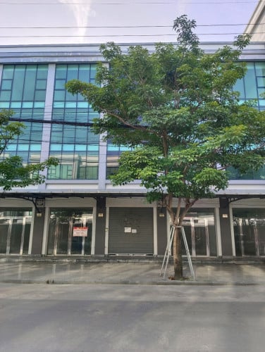 Shop house for rent in Sen Sok