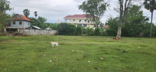 ដីជើងភ្នំឧត្តុង ក្បែរបឹងសំរិទ្ធ