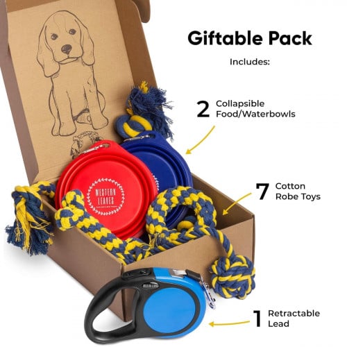Western Leaves 10-Piece Dog Starter Set