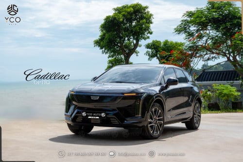 ថ្មី ខ្លាញ់គោ Optiq 2025 4WD 600km ហ្វូលអប់សិន អតិថិជនវ៉ៃដូ ឡើងស៊េរី