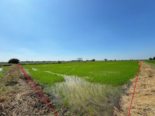 🏦Land for Urgent sale (Negotiable), ABA Loan Available.