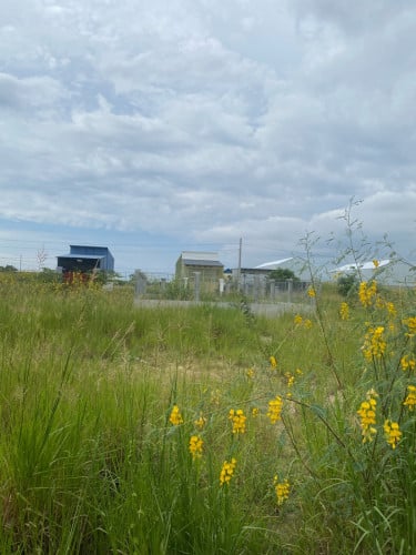 25000$ ចរចារបាន ម្ចាស់ផ្ទាល់ មុខផ្សារព្រែកជ្រៃ