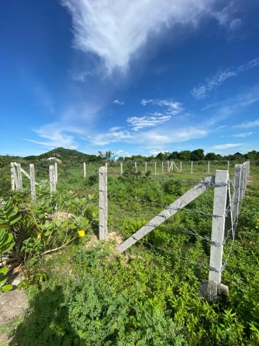 ដី10mx20m សម្រាប់លក់ទីតាំងប្រជុំជន ជិតក្រុងភ្នំពេញ