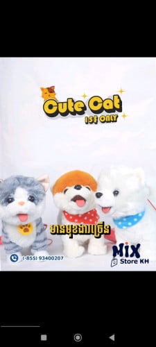 Cute dogs and cat