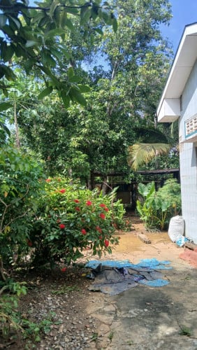 Land with house and big pond for sale 1614m2