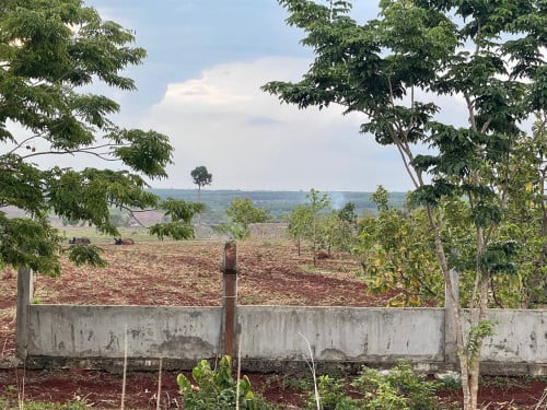 ដីចំការលក់នៅរតនៈគិរី