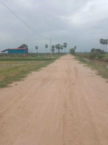 ដីលក់ បន្ទាន់(ប្លង់រឹង) Free សេវាកាត់ប្លង់រឹងជួន