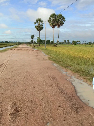 ដីលក់ បន្ទាន់(ប្លង់រឹង) Free សេវាកាត់ប្លង់រឹងជួន