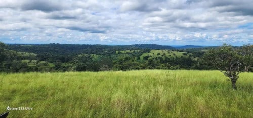 ដីលក់បន្ទាន់លុយខ្លាំង