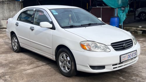 ជួល car for rent 