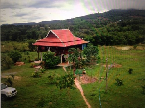 ដីសំរាប់លក់ ចំងាយ01គីឡូម៉ែត្រពីវត្តពេជ្រនិល     Land for Sale 1 km from Wat Pich Nil