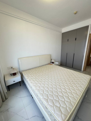 1 Bedroom For Rent at Agile Condo || 600$/Month