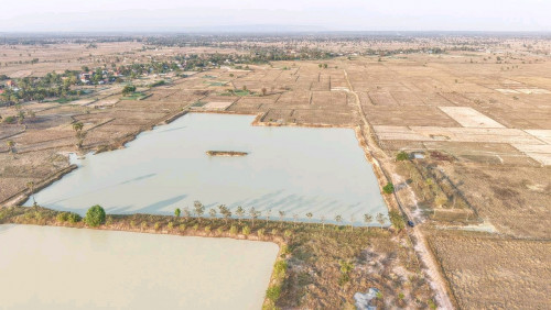 ដីលក់បន្ទាន់ខ្លាំង